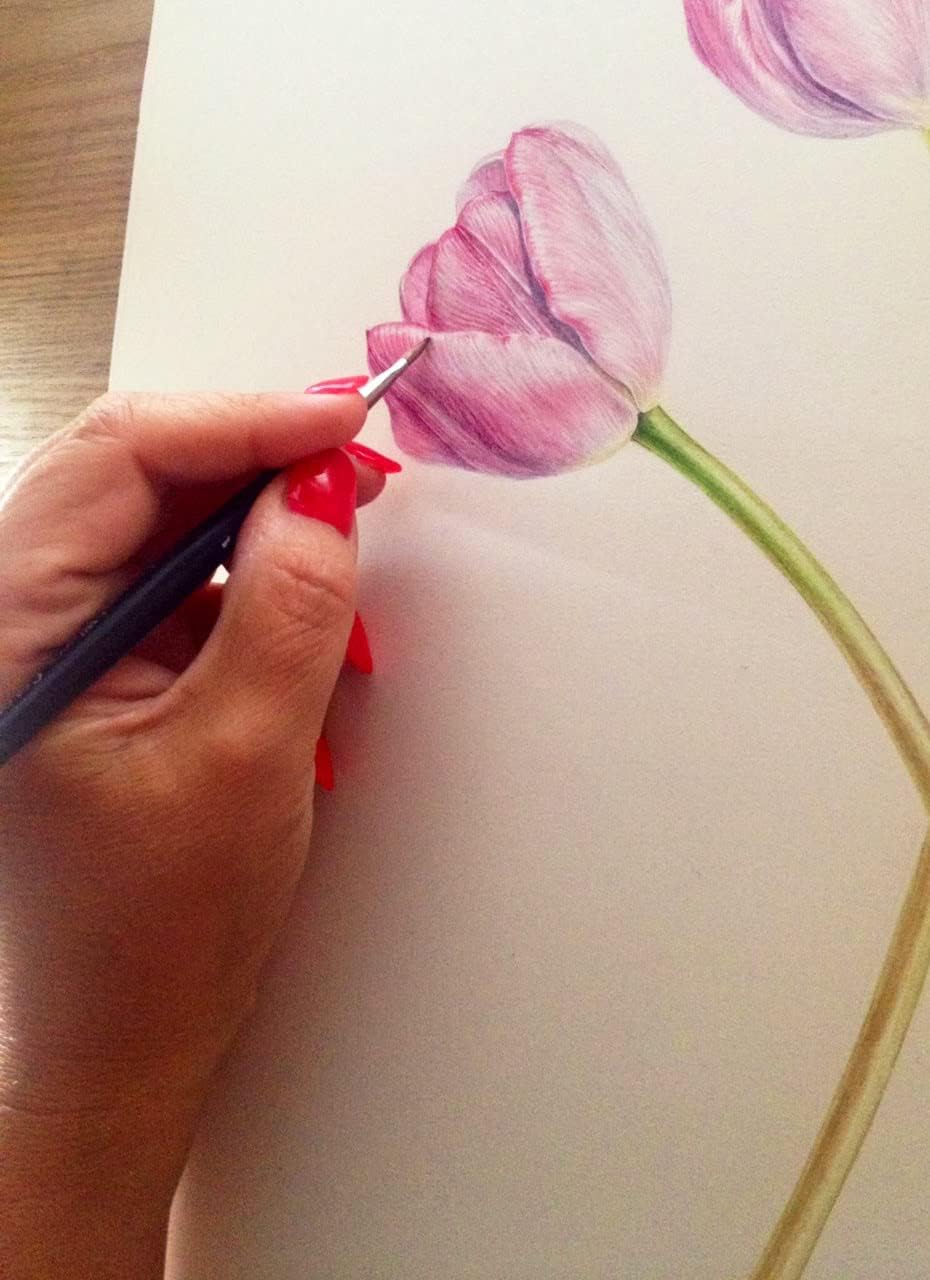 Watercolor Cold Pressed Paper 300gsm A4